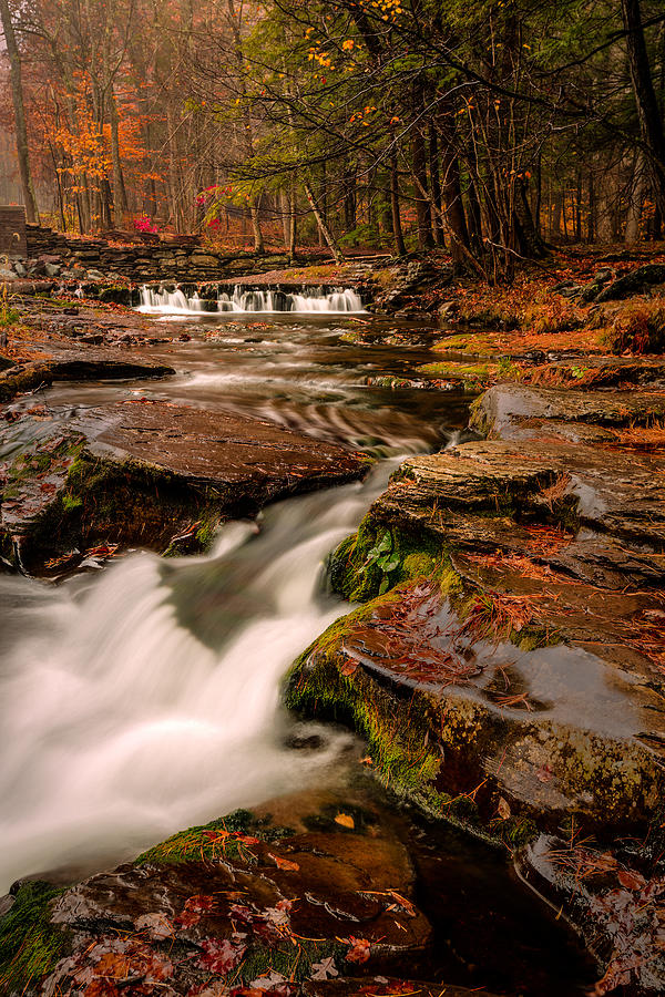 Waterfall Photograph - Fall Colors around the Stream by Rick Strobaugh