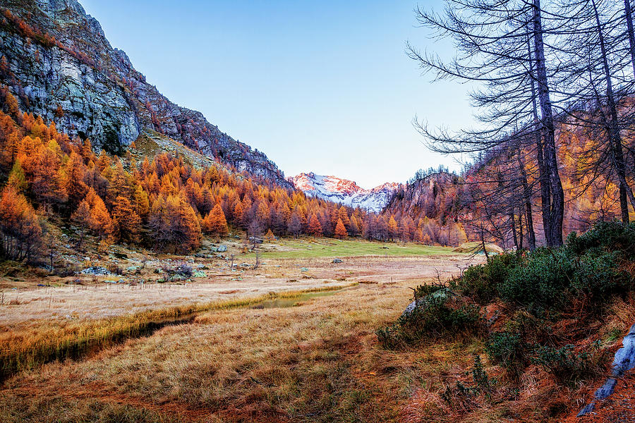 Fall colors at Alpe Devero Photograph by Roberto Pagani