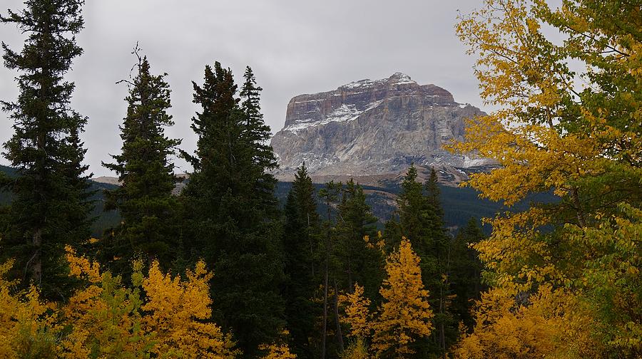 Fall Colors at Chief Mountain, Northside Photograph by Tracey Vivar