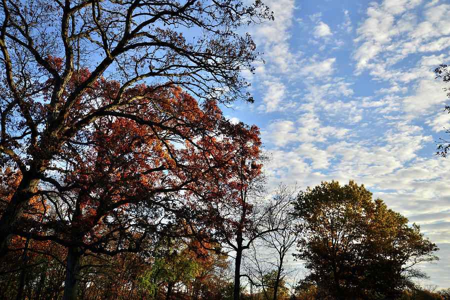 Fall Colors at Entrance to Chain-o-Lakes SP Photograph by Ray Mathis