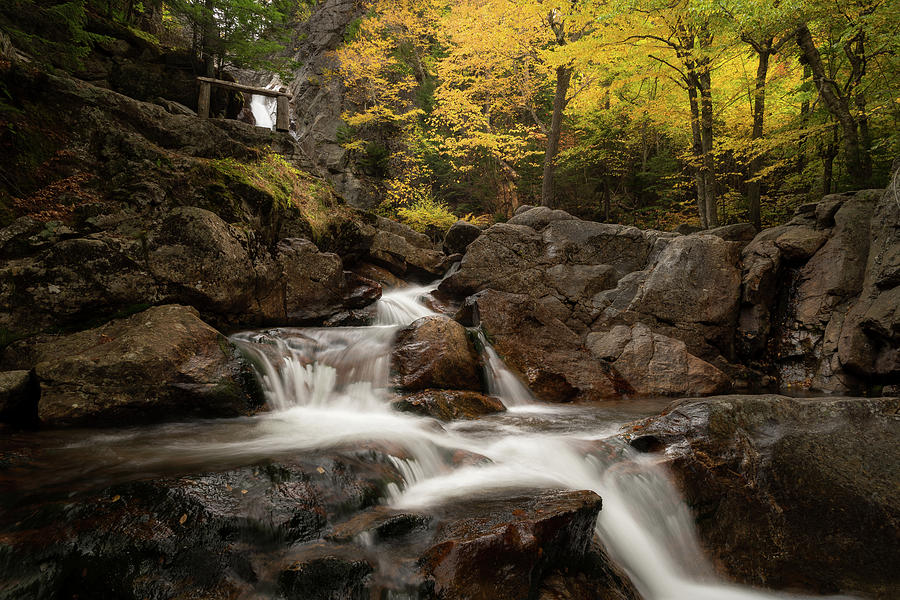 Fall Photograph - Fall colors at Glen Ellis Waterfall by Jatin Thakkar