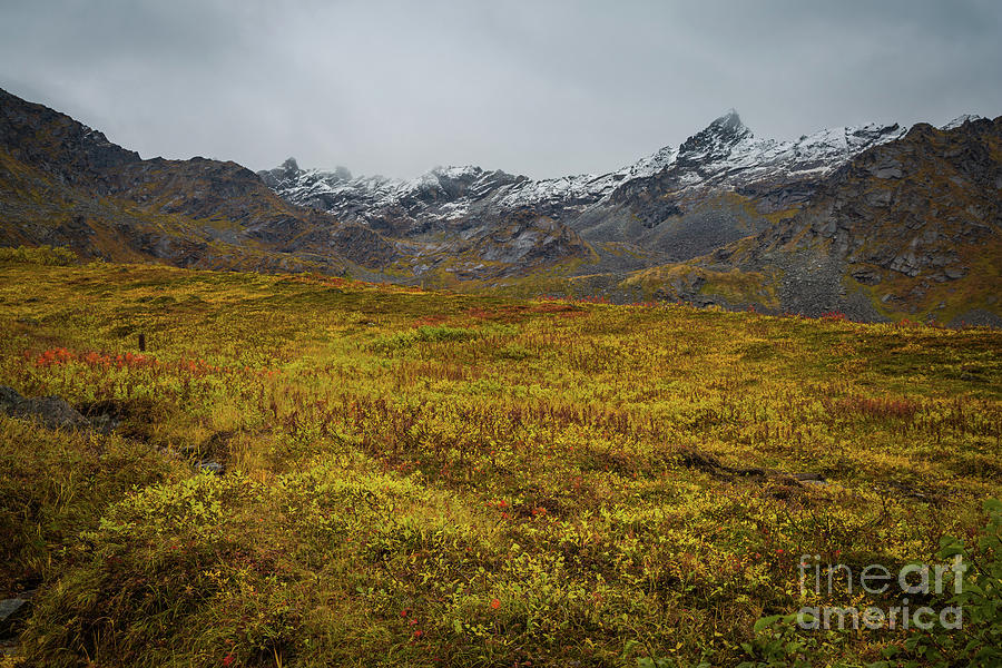 Fall Colors at Hatcher Pass Photograph by Eva Lechner