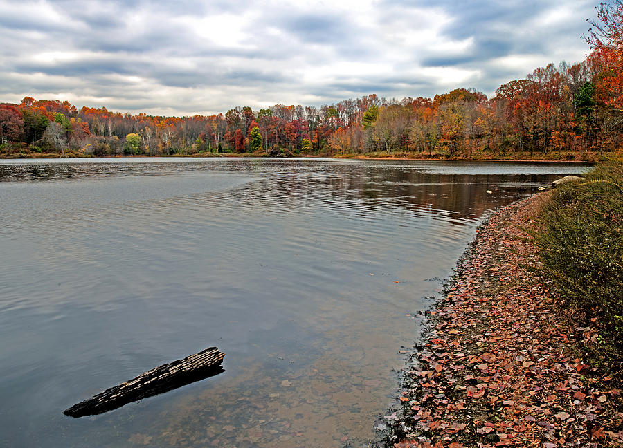 Fall Photograph - Fall Colors at Lake Frank Maryland by Brendan Reals