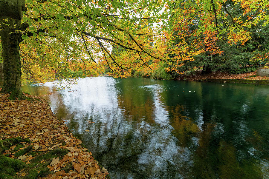 Fall Colors at Laurelhurst Park Portland Oregon Photograph by Jit Lim