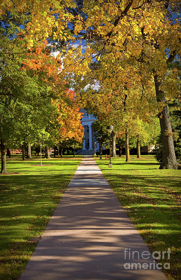 Fall Colors at Lawrence University in Appleton, Wisconsin Photograph by Sam Antonio