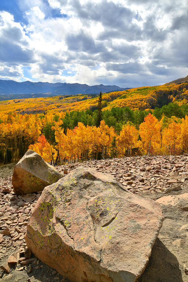 Fall Colors at Ohio Pass Photograph by Ray Mathis