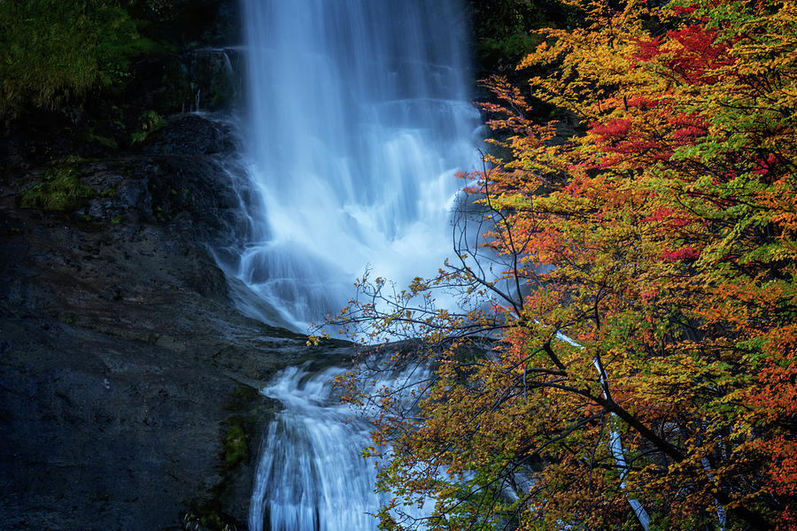 Fall colors at Patagonian waterfall Photograph by Steven Upton