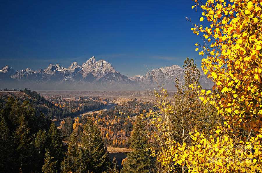 Fall Colors at the Snake River Overlook Photograph by Sam Antonio