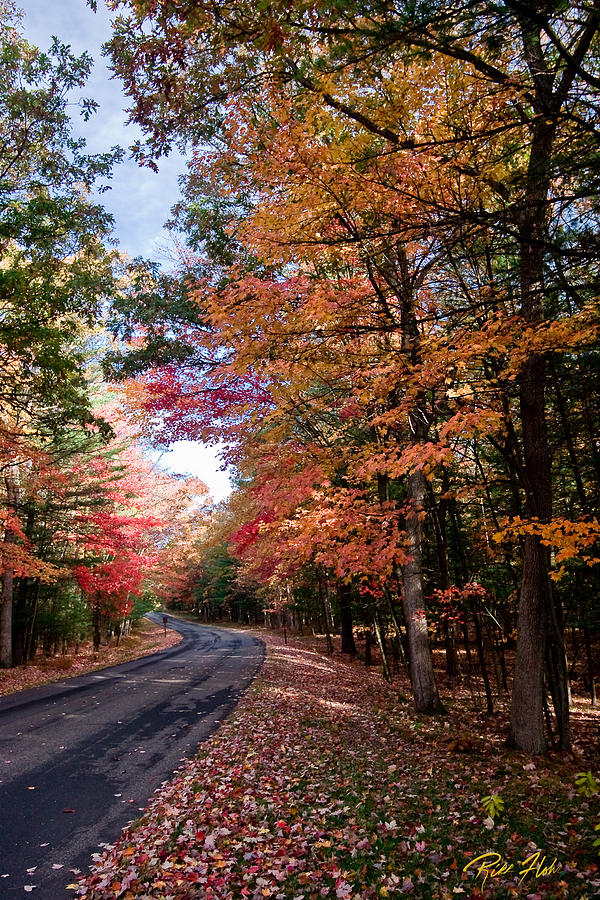 Fall Colors Backroad Photograph by Rikk Flohr