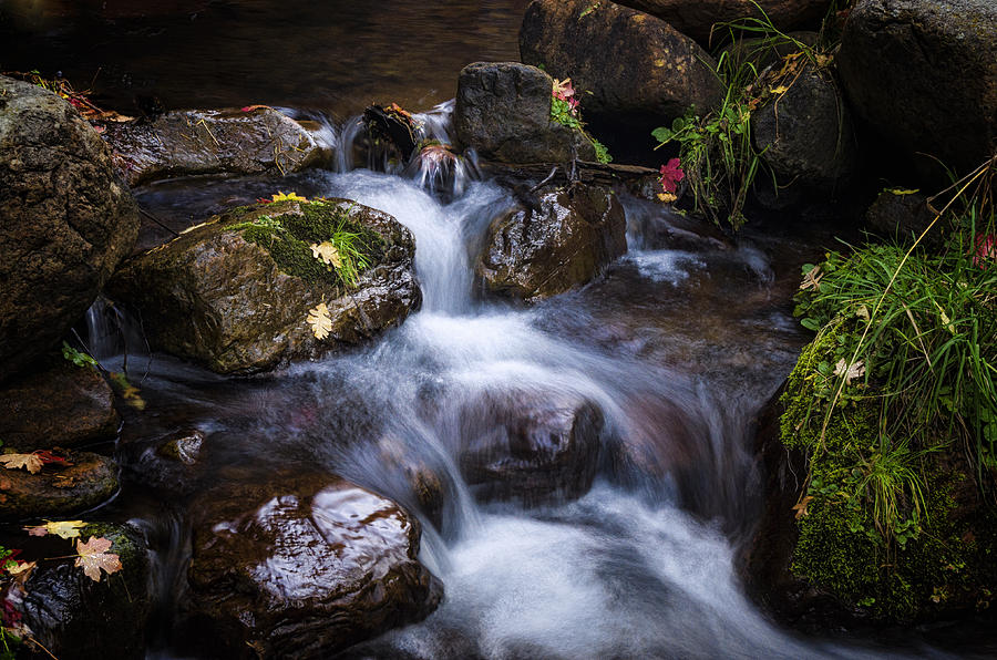 Waterfall Photograph - Fall Colors Creekside  by Saija Lehtonen
