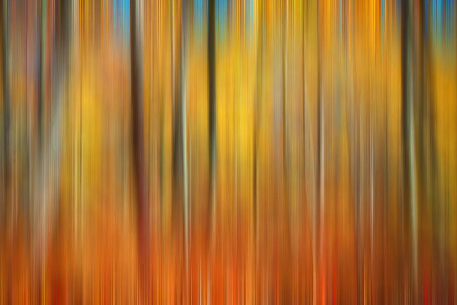 Fall Colors Digital Abstracts Photograph by Rich Franco