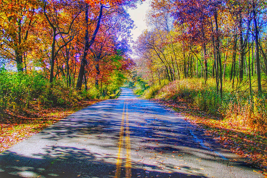 Fall colors down the road Photograph by Dan Dunn - Fine Art America