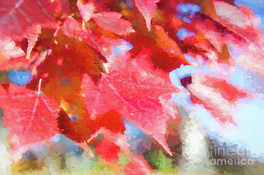 Fall Colors Digital Art by Ed Taylor