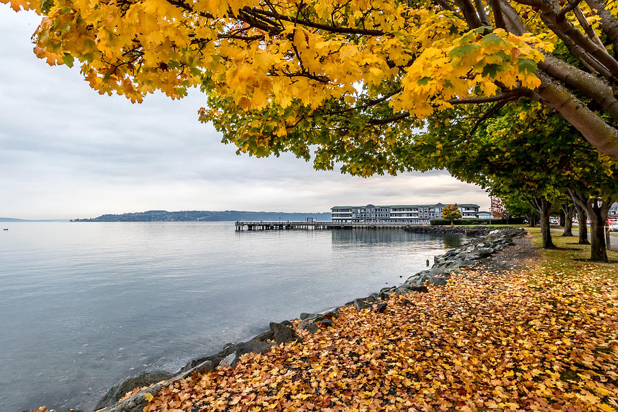 Fall Colors Framing Commencement Bay Photograph by Rob Green