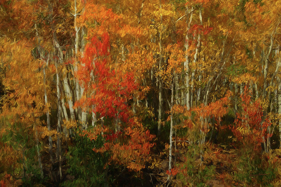 Fall Colors Grand Mesa DA Digital Art by Ernest Echols