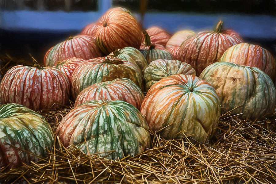 Fall Colors in a Pumpkin Display Digital Art by John Haldane