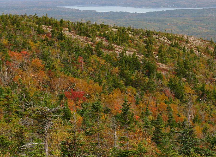 Acadia National Park Photograph - Fall Colors in Acadia NP by Juergen Roth