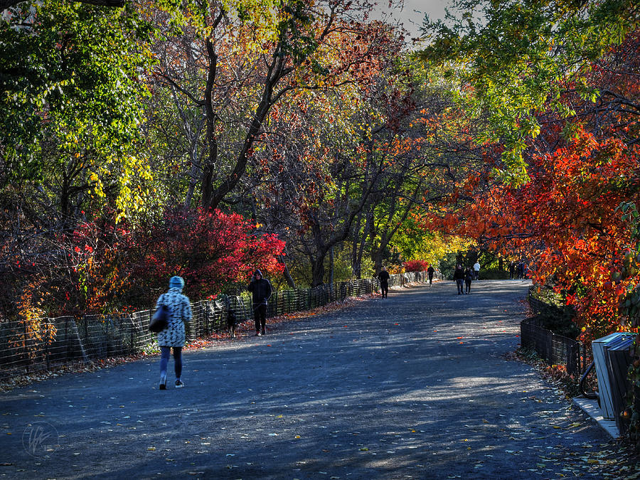 Fall Colors in Central Park 001 Photograph by Lance Vaughn