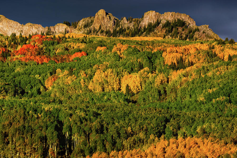 Fall Colors In Colorado Photograph by John De Bord