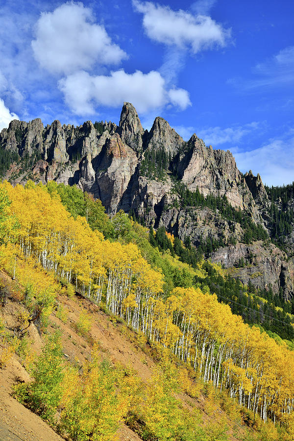 Fall Colors in Colorado Photograph by Ray Mathis