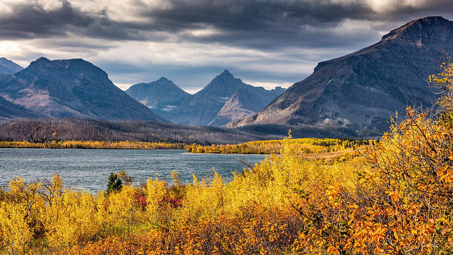 Fall colors in Glacier National Park Photograph by Pierre Leclerc Photography