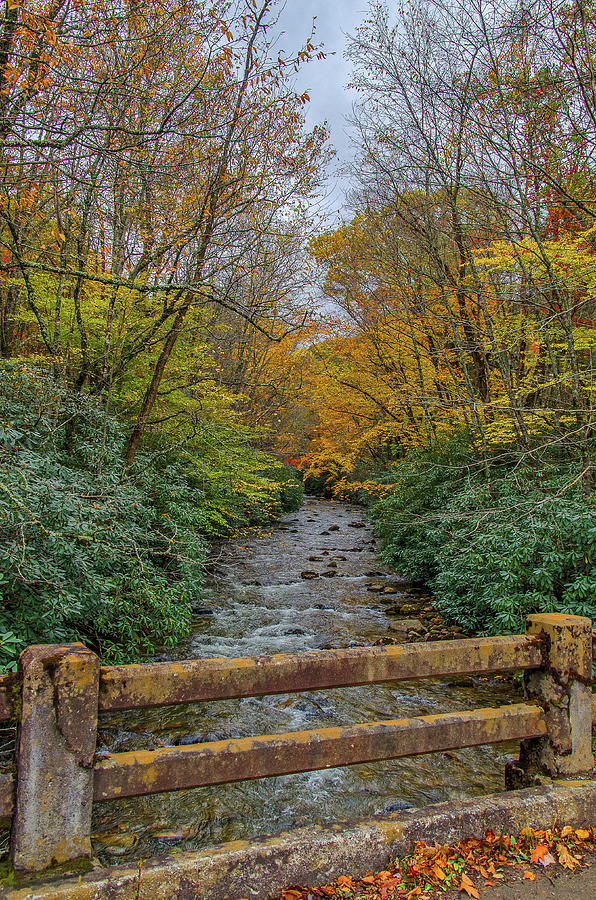 Fall Colors in North Carolina Photograph by Ina Kratzsch - Fine Art America