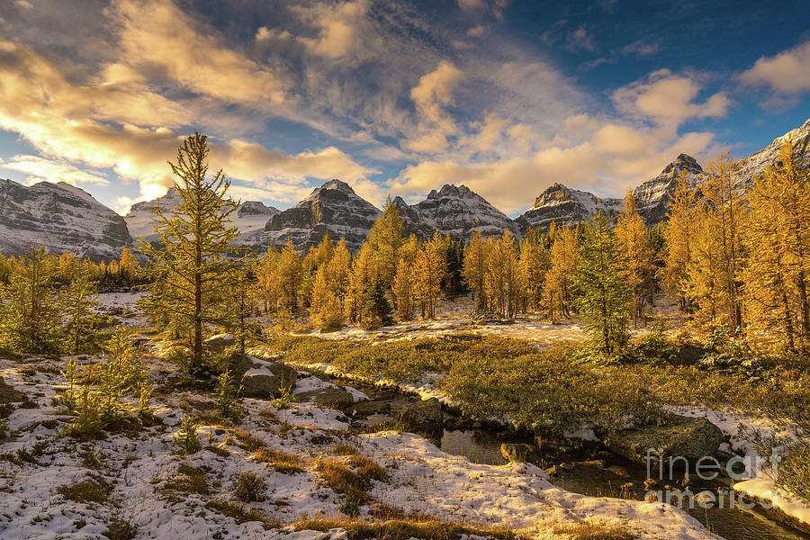 Fall Colors in the Canadian Rockies Larch Valley Photograph by Mike Reid