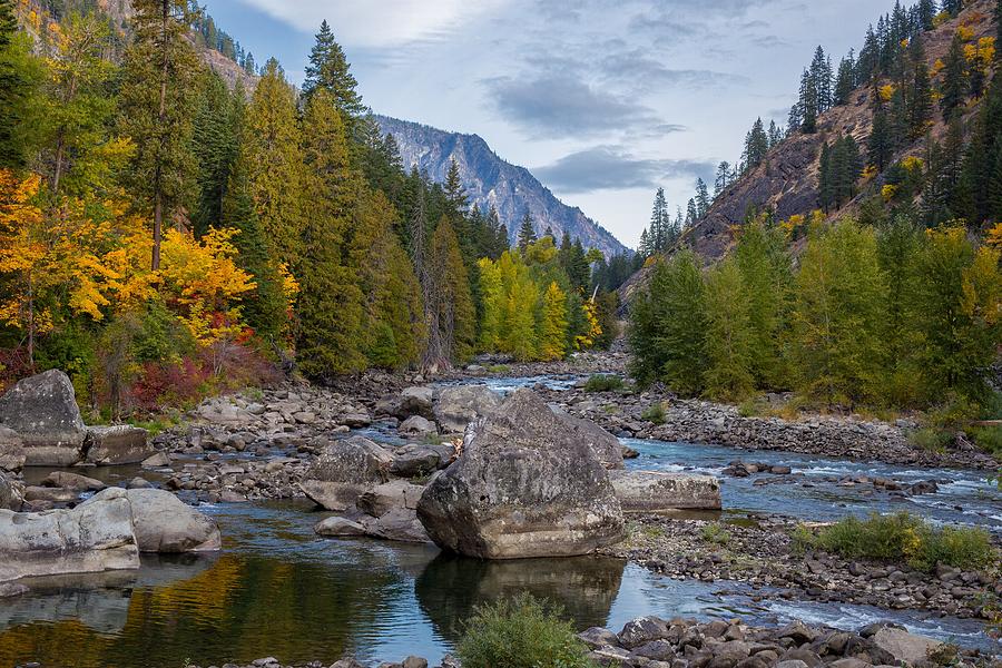 Fall colors in the canyon Photograph by Lynn Hopwood