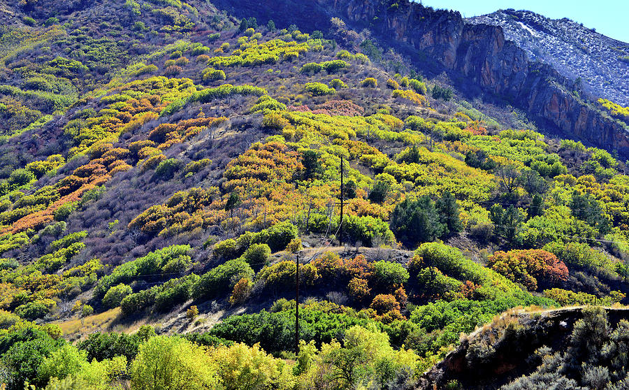 Fall Colors in the Hills of Glenwood Springs Photograph by Ray Mathis