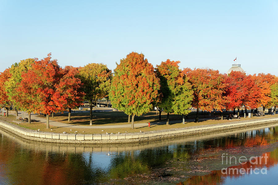 Fall Colors in the Old Port of Montreal Photograph by John  Mitchell