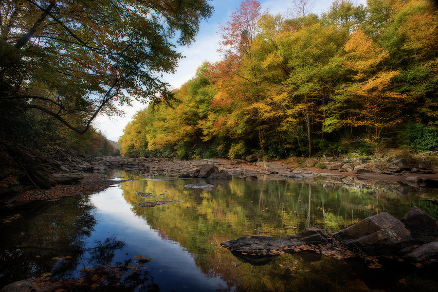 Fall colors in the trees along the river Photograph by Dan Friend