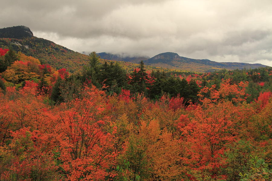 Fall Colors In White Mountains New Hampshire Photograph By Dan Sproul