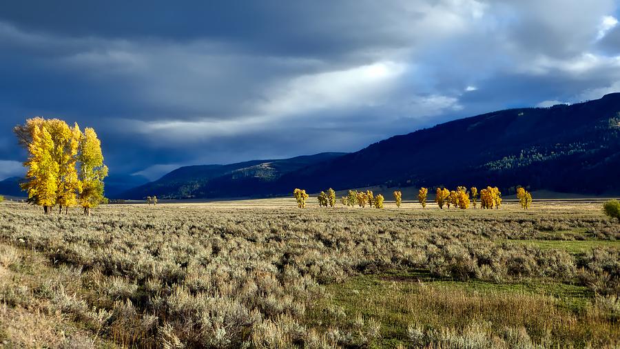 Fall Colors in Yosemites Lamar Valley #1 Photograph by Mountain Dreams
