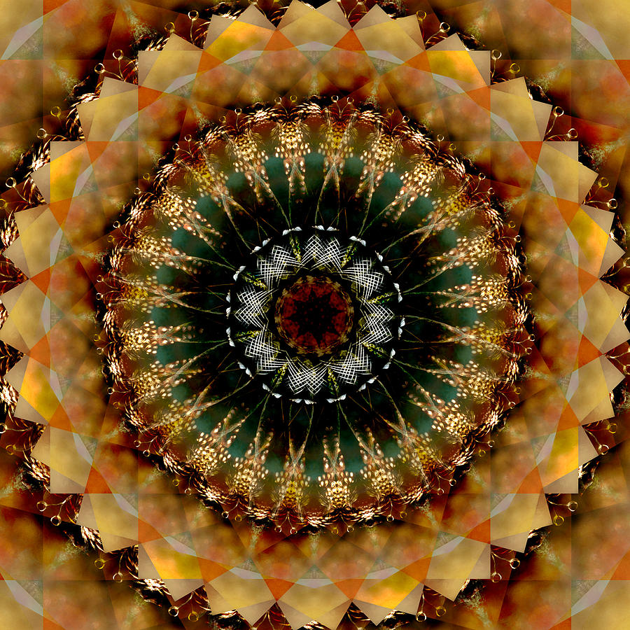 Fall Colors Kaleidoscope Photograph by Ann Bridges