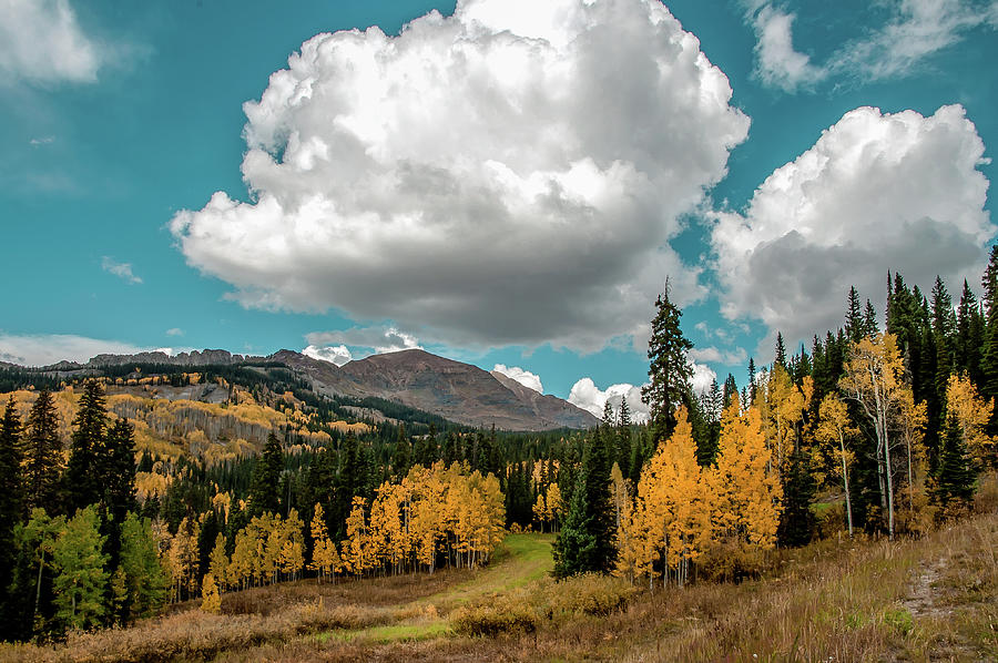 Fall Colors - Kebler Pass, Colorado Photograph by John Bartelt