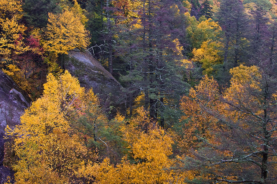 Fall Colors Photograph by Ken Barrett
