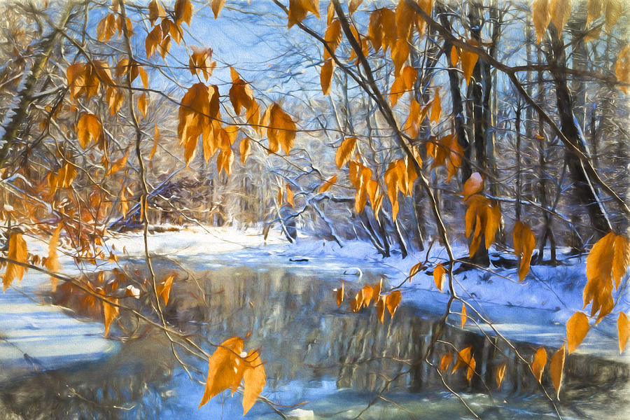 Fall Colors Linger into Winter by Frank Shoemaker