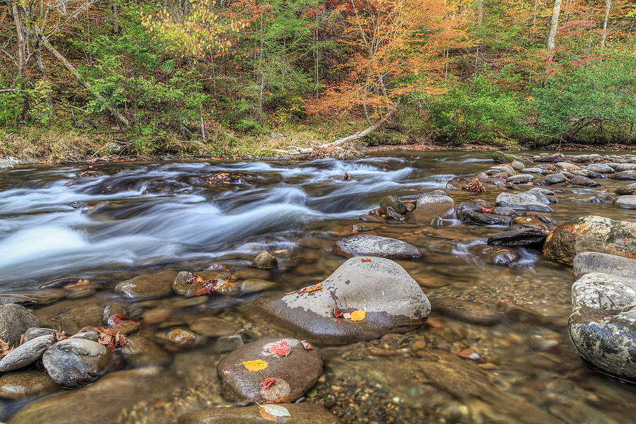 Fall Colors Little River Photograph by Paul Schultz