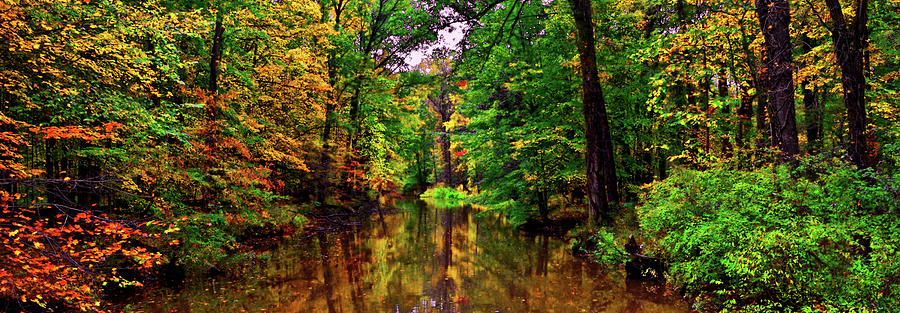 Fall Colors - Mountain Stream Panorama 015 Photograph by George Bostian