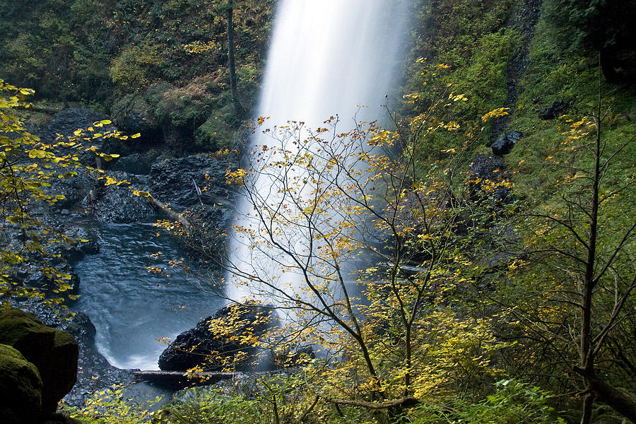 Fall Colors obscuring the North Falls at Silver Springs Falls State ...