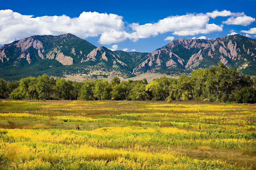 Fall Colors of Boulder Colorado Photograph by Marilyn Hunt