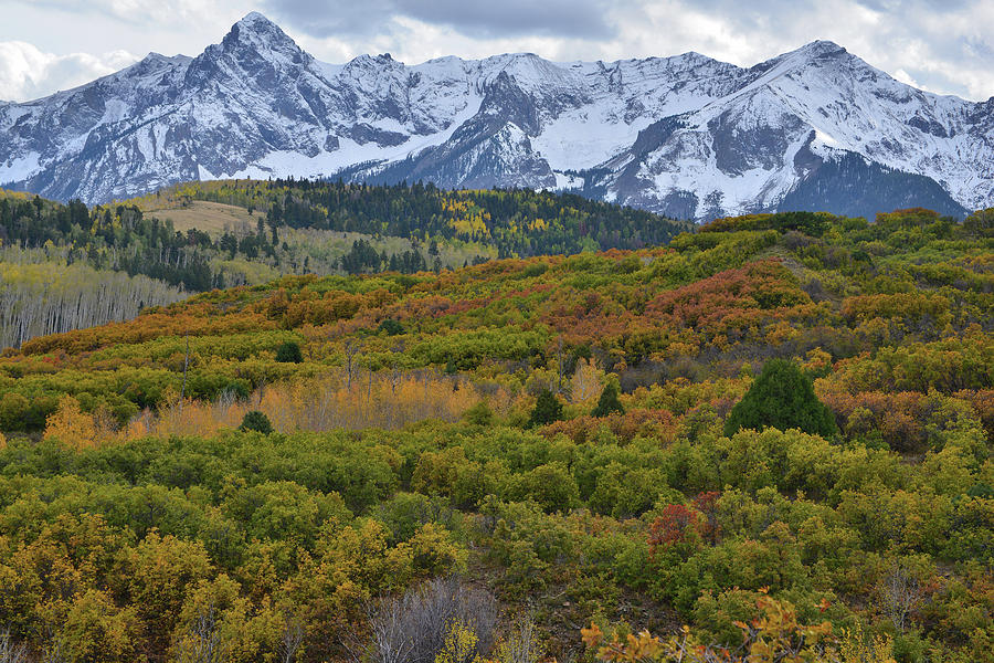 Fall Colors of the Sneffels Range Photograph by Ray Mathis