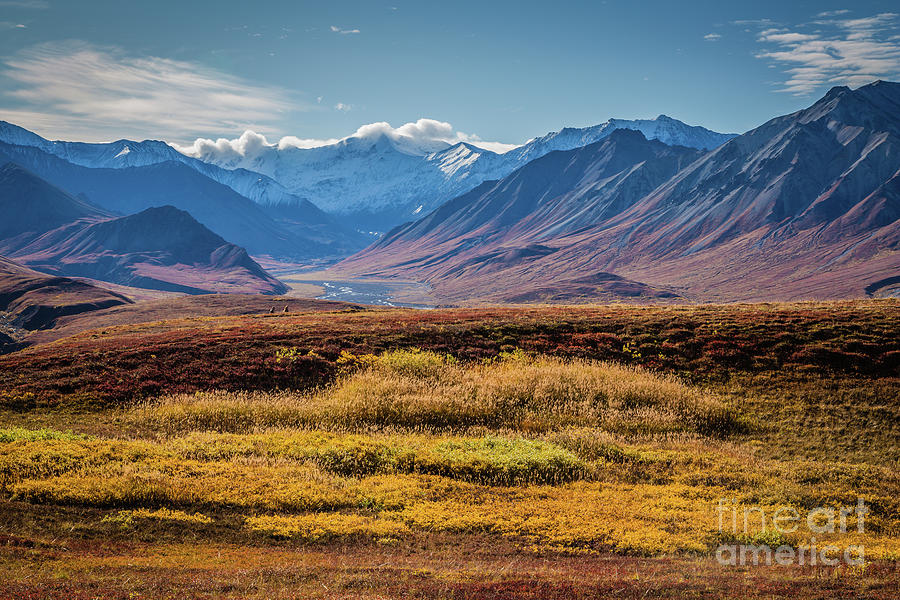 Denali National Park Photograph - Fall Colors of the Tundra by Eva Lechner