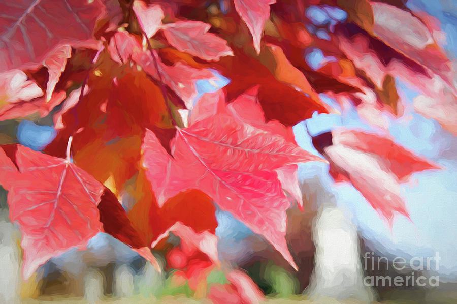 Fall Colors Oil Digital Art by Ed Taylor