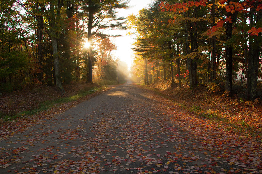 Fall Colors on an Old Country Road Photograph by Jan Mulherin