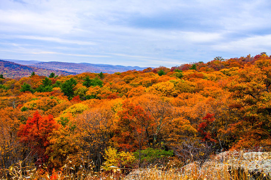 Fall Colors on Bear Mountain Photograph by William E Rogers Fine Art