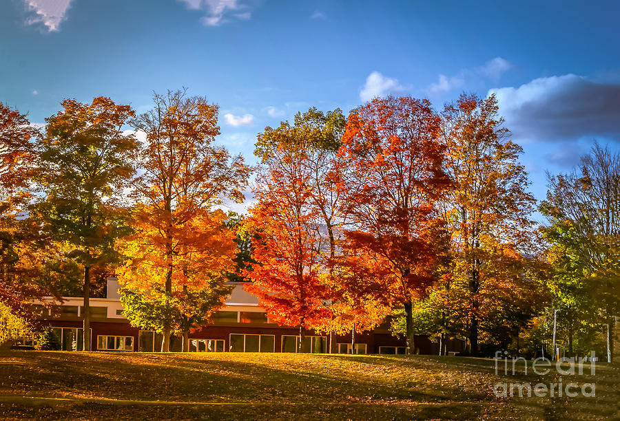 Fall colors on blue sky Photograph by Claudia M Photography