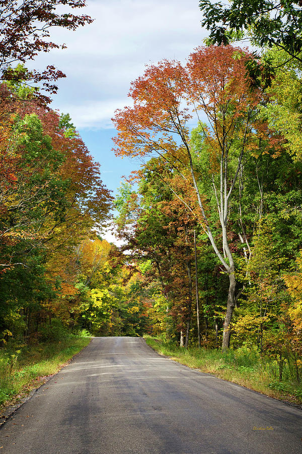 Fall Colors on Country Road Photograph by Christina Rollo