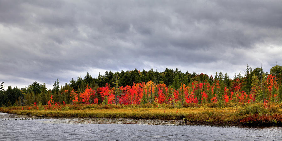 Fall Photograph - Fall Colors on Raquette Lake by David Patterson