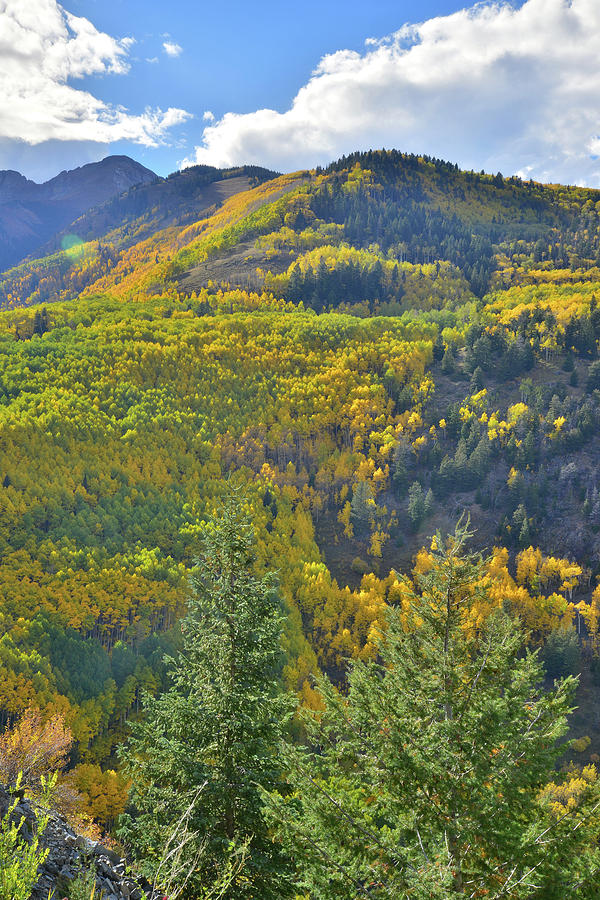 Fall Colors on Sunshine Mountain Photograph by Ray Mathis